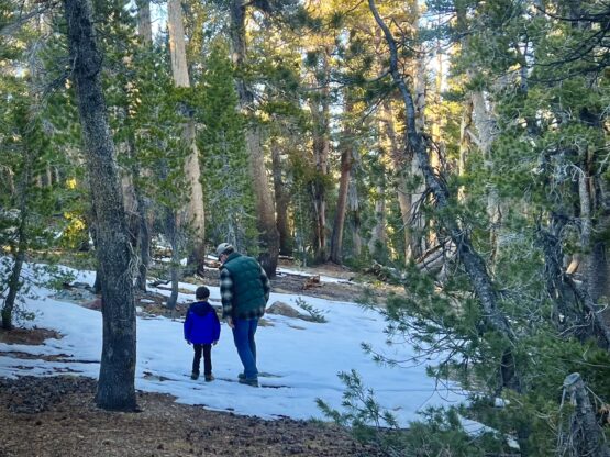 {{brizy_dc_image_alt imageSrc=